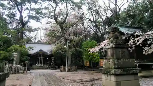 石神井氷川神社の庭園