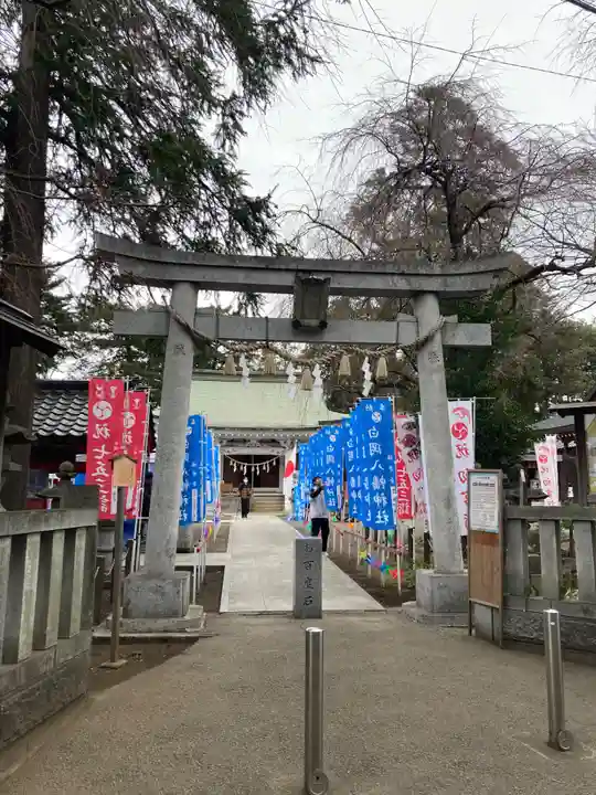 白岡八幡神社(埼玉県)