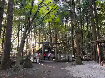 宝登山神社奥宮(埼玉県)