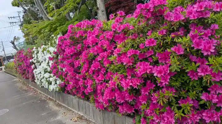 若宮八幡宮(京都府)