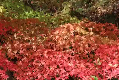 国宝 大法寺(長野県)