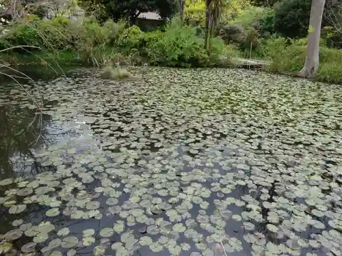 圓應寺の庭園