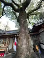 若一神社(京都府)