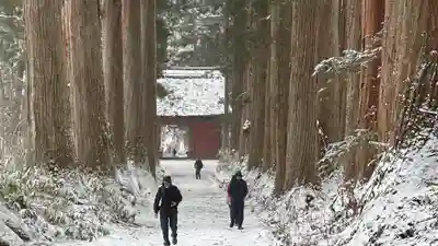戸隠神社九頭龍社(長野県)