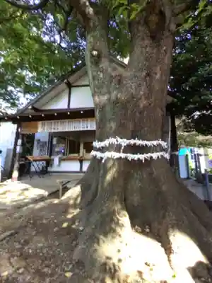 上目黒氷川神社(東京都)