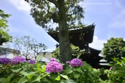 白山神社(東京都)