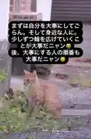 専念寺(大阪府)