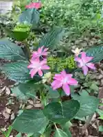 息栖神社の自然