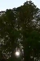 河内白王神社(高知県)