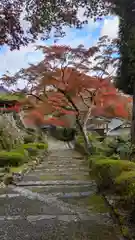 善峯寺(京都府)