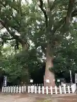 服織田神社(静岡県)