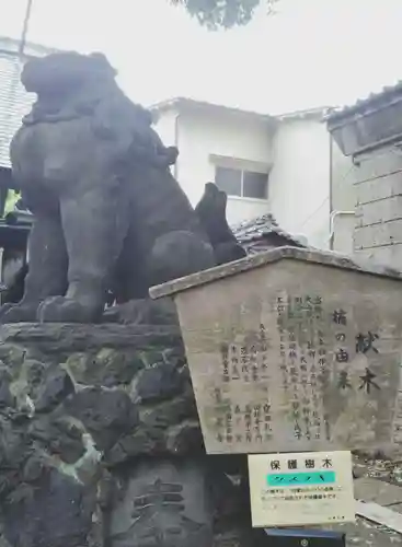 三島神社の狛犬