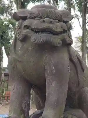 飯香岡八幡宮の狛犬