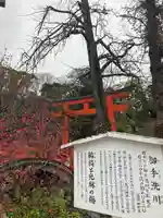 賀茂御祖神社(下鴨神社)(京都府)