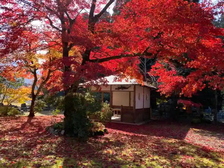 興聖寺(滋賀県)