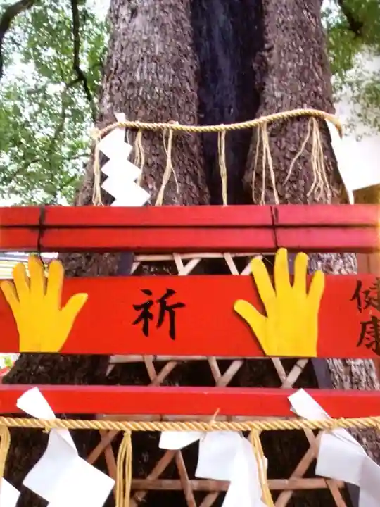 五方山熊野神社(東京都)