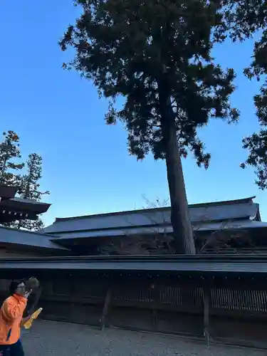 高麗神社(埼玉県)