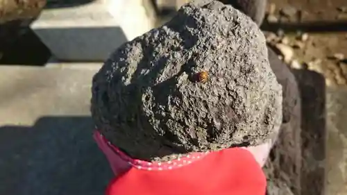 門田稲荷神社の動物