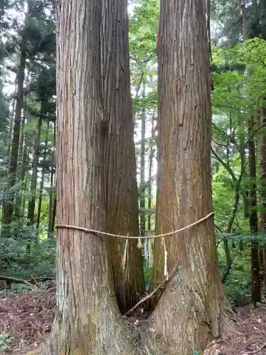 伊豆観音堂の自然