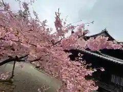 粉河寺(和歌山県)