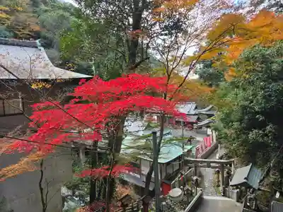 大本山七宝瀧寺(大阪府)