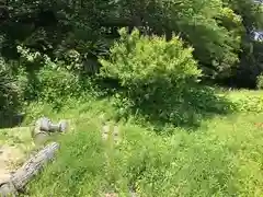 揚島天神社の自然