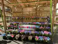 長國寺(東京都)