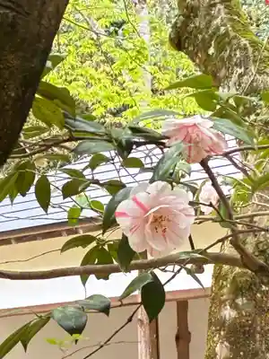 興聖寺(滋賀県)