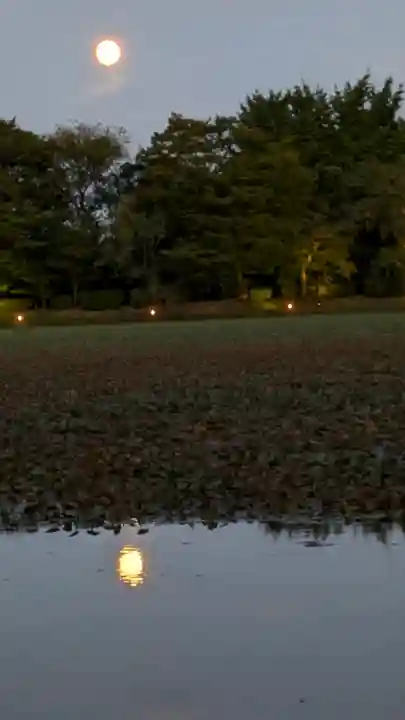大覚寺(京都府)