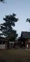 八幡神社の建物その他