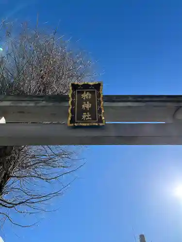 柏神社(千葉県)