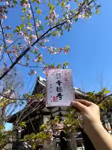 幸國寺の御朱印 2025年04月01日(火)〜(2025年05月01日(木) 06時00分47秒投稿)