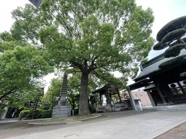 泉龍寺の御朱印