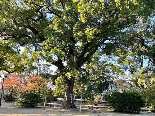 兵主神社の自然