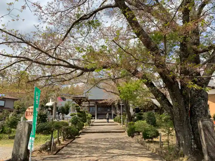 正蓮寺の本殿・本堂