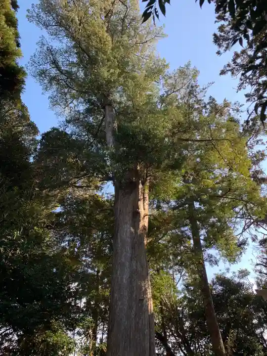 白幡神社(千葉県)