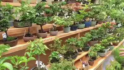 浅草富士浅間神社の周辺