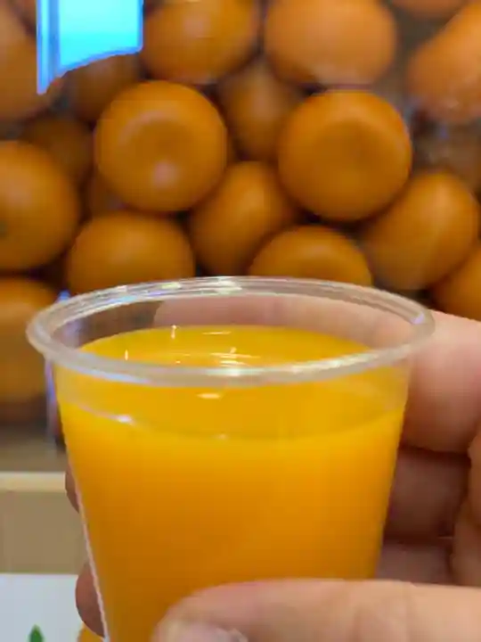 久能山東照宮の食事