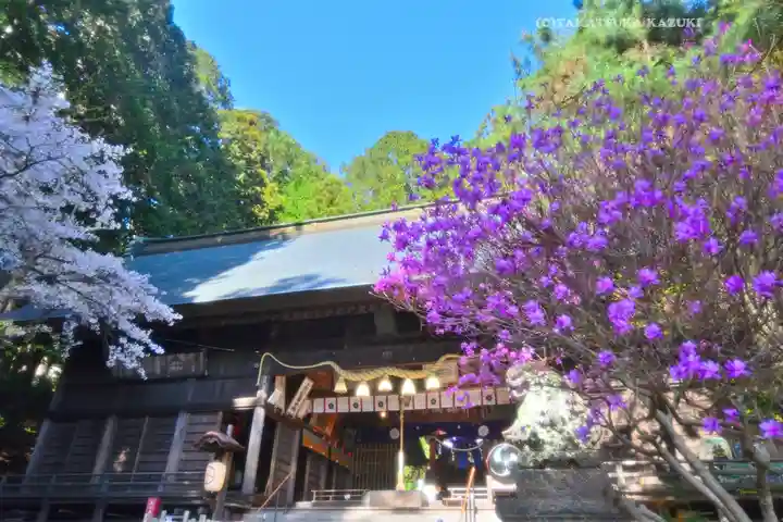 河口浅間神社(山梨県)