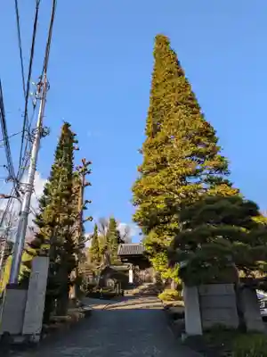 東長谷寺　薬王院(東京都)