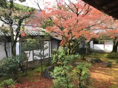 仁和寺の庭園