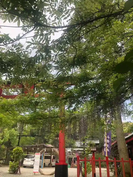 加紫久利神社(鹿児島県)