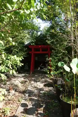 高野山真言宗 愛宕山上福院龍泉寺の鳥居