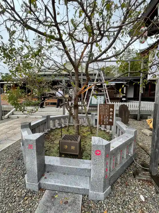 大坊本行寺の自然