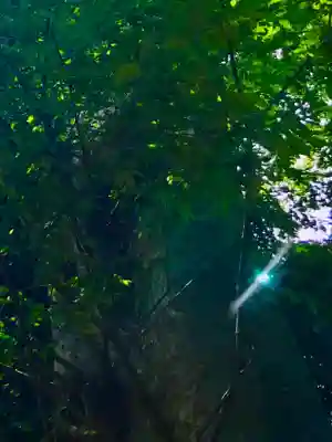 愛宕神社の自然