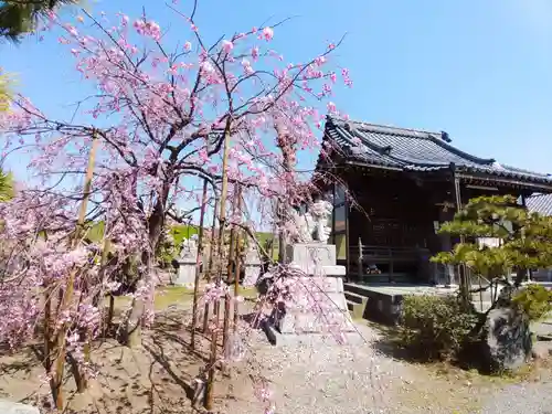 黒龍神社の自然