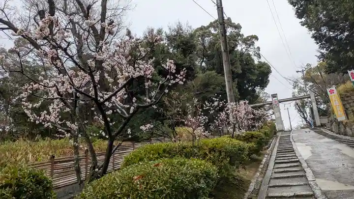 上宮天満宮(大阪府)