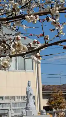 大松禅寺(京都府)