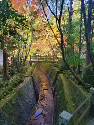 五所駒瀧神社(茨城県)