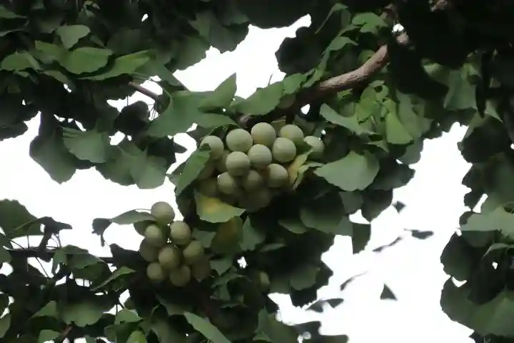 熊野福藏神社(福島県)